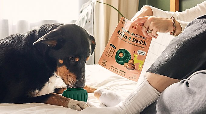 Woof Pupsicle Pops Refills Chicken Grain-Free Lickable Dog Treats