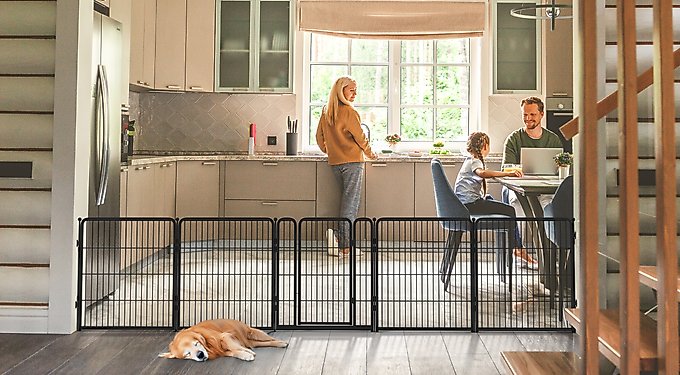 FXW Homeplus Indoor Dog Playpen