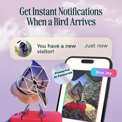 Show full view: Bird Buddy PRO Solar Smart Bird Feeder with Camera & Perch Extender, Blue slide 3 of 11