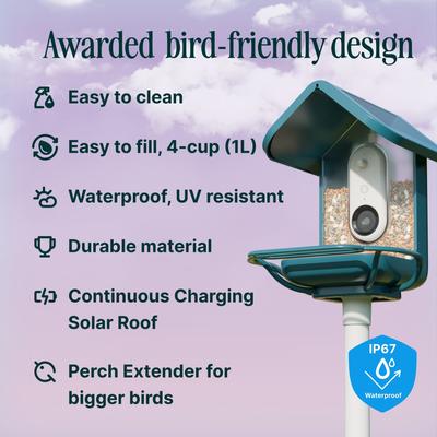 Show full view: Bird Buddy PRO Solar Smart Bird Feeder with Camera & Perch Extender, Blue slide 6 of 11