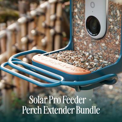 Show full view: Bird Buddy PRO Solar Smart Bird Feeder with Camera & Perch Extender, Blue slide 2 of 11