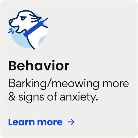 Behavior - barking/meowing more, signs of anxiety. Learn more.