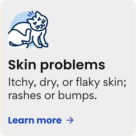 Skin problems - itchy, dry, or flaky skin; rashes bumps. Learn more.