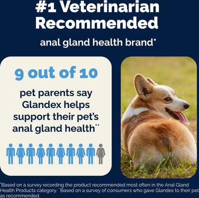 Show full view: Vetnique Labs Glandex Daily Probiotics & Digestive Health Prebiotics Bacon Flavor Soft Chew Aid Supplement for Dogs, 120 count slide 9 of 10