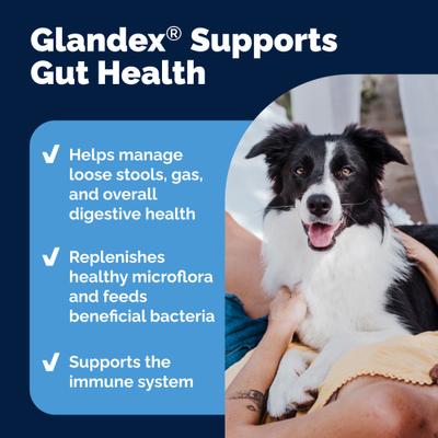 Show full view: Vetnique Labs Glandex Daily Prebiotic & Probiotic Digestive Aid Powder Supplement for Dogs, 8.5-oz jar slide 6 of 11