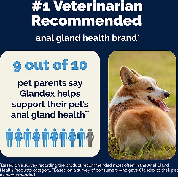 Vetnique Labs Glandex Boot the Scoot Rear End Anal Gland Cleaning & Deodorizing Hygienic Dog & Cat Wipes
