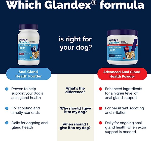 Show full view: Vetnique Labs Glandex Anal Gland Support Supplement Powder with Beef Liver Flavor for Dogs & Cats, 5.5-oz bottle slide 7 of 11