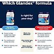 Show in main carousel: Vetnique Labs Glandex Anal Gland Support Supplement Powder with Beef Liver Flavor for Dogs & Cats, 5.5-oz bottle slide 7 of 11