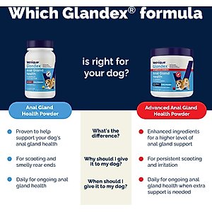 Vetnique Labs Glandex Anal Gland Support Supplement Powder with Beef Liver Flavor for Dogs & Cats, 5.5-oz bottle