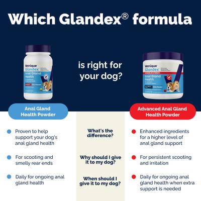 Show full view: Vetnique Labs Glandex Anal Gland Support Supplement Powder with Veg Salmon Flavor for Dogs & Cats, 5.5-oz bottle, bundle of 2 slide 8 of 12