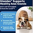 Show in main carousel: Vetnique Labs Glandex Anal Gland Support Supplement Powder with Beef Liver Flavor for Dogs & Cats, 5.5-oz bottle slide 4 of 11