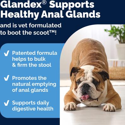 Vetnique Labs Glandex Anal Gland Support Soft Chews with Pumpkin, Digestive Enzymes, Probiotics & Fiber Boot the Scoot Bacon Flavored Supplement for Dogs