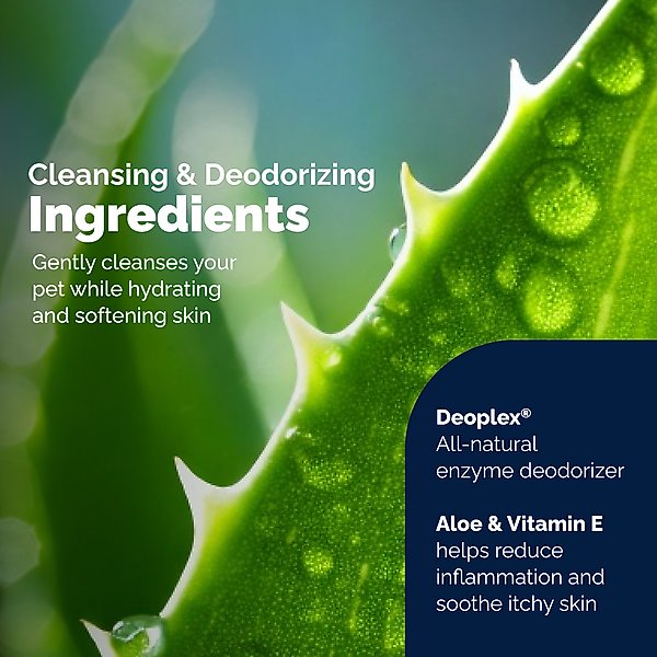 Vetnique Labs Glandex Boot the Scoot Rear End Anal Gland Cleaning & Deodorizing Hygienic Dog & Cat Wipes