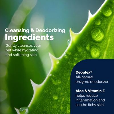 Show full view: Vetnique Labs Glandex Boot the Scoot Rear End Anal Gland Cleaning & Deodorizing Hygienic Dog & Cat Wipes, 12 count slide 5 of 11