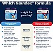 Show in main carousel: Vetnique Labs Glandex Dog Anal Gland Support Soft Chews with Pumpkin, Digestive Enzymes, Probiotics & Fiber Supplement Boot The Scoot Peanut Butter Flavored, 60 count slide 7 of 11