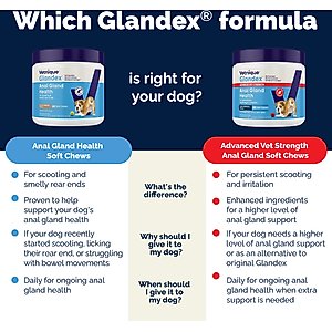 Vetnique Labs Glandex Dog Anal Gland Support Soft Chews with Pumpkin, Digestive Enzymes, Probiotics & Fiber Supplement Boot The Scoot Peanut Butter Flavored, 120 count