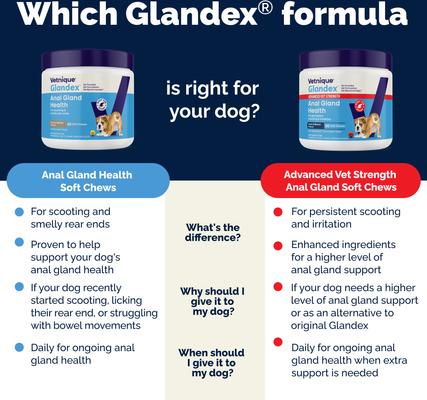 Show full view: Vetnique Labs Glandex Dog Anal Gland Support Soft Chews with Pumpkin, Digestive Enzymes, Probiotics & Fiber Supplement Boot The Scoot Peanut Butter Flavored, 60 count slide 7 of 11