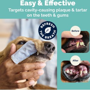 Vetnique Labs DentaBliss Finger Mitt Peppermint Flavor for Plaque, Tartar Prevention & Fresh Breath Dog Dental Wipes, 50 count
