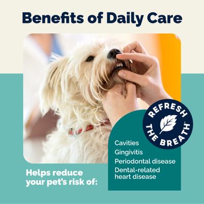 Show full view: Vetnique Labs DentaBliss Finger Mitt Peppermint Flavor for Plaque, Tartar Prevention & Fresh Breath Dog Dental Wipes, 50 count slide 9 of 10
