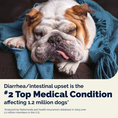 Show full view: Vetnique Labs Glandex Daily Probiotics & Digestive Health Prebiotics Bacon Flavor Soft Chew Aid Supplement for Dogs, 120 count slide 4 of 10