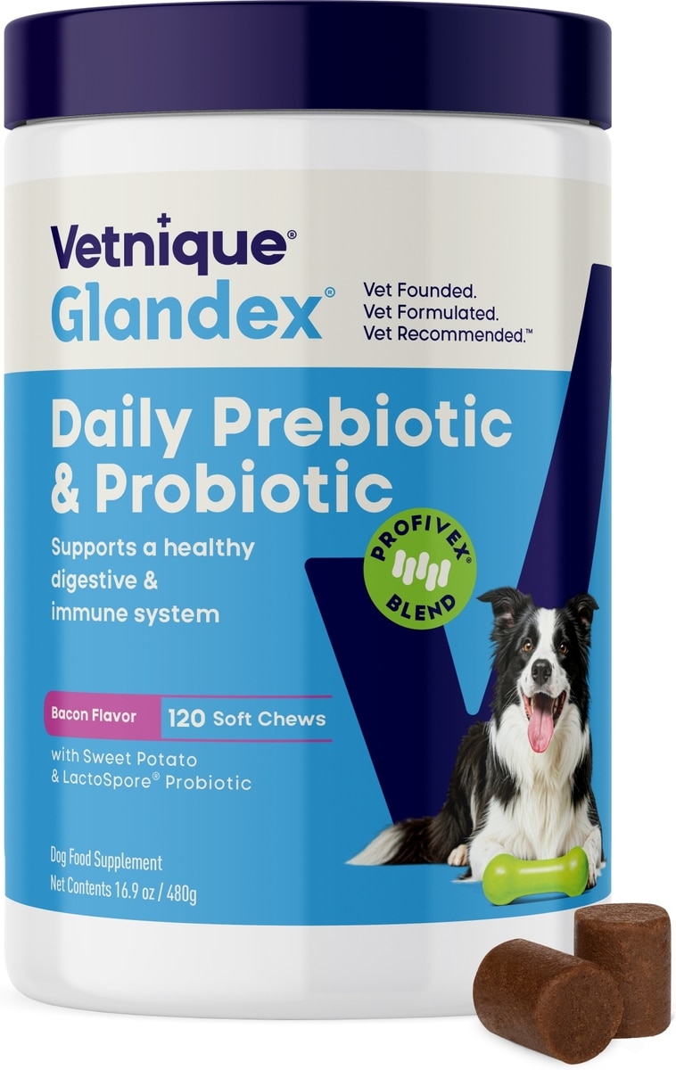 VETNIQUE LABS Glandex Daily Probiotics & Digestive Health