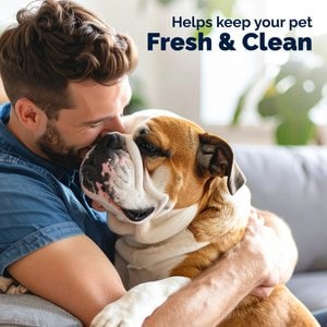Vetnique Labs Glandex Boot the Scoot Rear End Anal Gland Cleaning & Deodorizing Hygienic Dog & Cat Wipes, 12 count