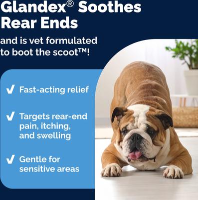 Show full view: Vetnique Labs Glandex Medicated Anal Gland Fast Acting in Pain Relieving Anti-Itch Dog & Cat Wipes, 50 count slide 4 of 10