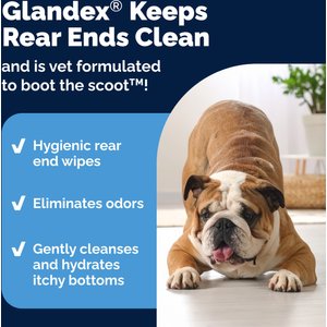 Vetnique Labs Glandex Boot the Scoot Rear End Anal Gland Cleaning & Deodorizing Hygienic Dog & Cat Wipes, 75 count