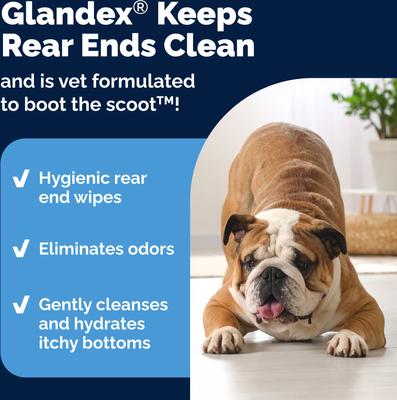 Show full view: Vetnique Labs Glandex Boot the Scoot Rear End Anal Gland Cleaning & Deodorizing Hygienic Dog & Cat Wipes, 100 count slide 5 of 11