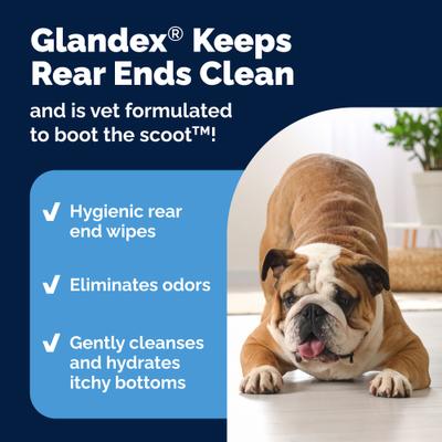 Vetnique Labs Glandex Boot the Scoot Rear End Anal Gland Cleaning & Deodorizing Hygienic Dog & Cat Wipes