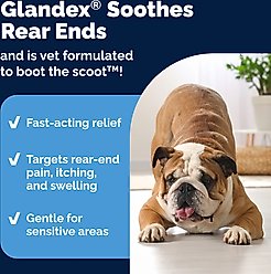 Vetnique Labs Glandex Medicated Anal Gland Fast Acting in Pain Relieving Anti-Itch Dog & Cat Spray, 4-fl oz bottle slide 2 of 9