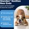 Show in main carousel: Vetnique Labs Glandex Medicated Anal Gland Fast Acting in Pain Relieving Anti-Itch Dog & Cat Spray, 4-fl oz bottle slide 4 of 10