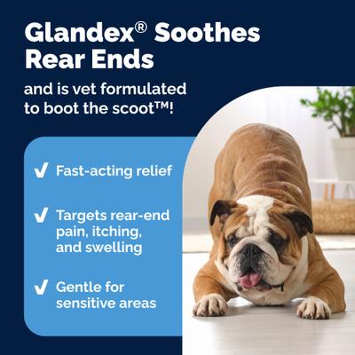 Show full view: Vetnique Labs Glandex Wipes Hygienic Rear End Wipes, 75 count + Glandex Anal Gland Medicated Anti Itch Spray for Dogs & Cats, 4-oz bottle slide 9 of 9