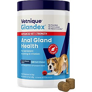 PetAg Dyne PRO HG Healthy Gut Liquid Supplement for Dogs