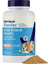 Vetnique Labs Glandex Anal Gland Support Supplement Powder with Veg Salmon Flavor for Dogs & Cats, 5.5-oz bottle