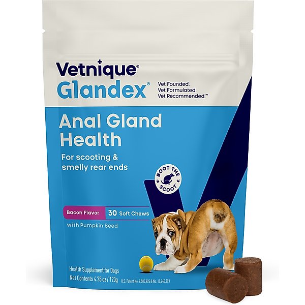 Vetnique Labs Glandex Anal Gland Support Soft Chews with Pumpkin, Digestive Enzymes, Probiotics & Fiber Boot the Scoot Bacon Flavored Supplement for Dogs