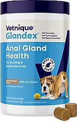 Vetnique Labs Glandex Dog Anal Gland Support Soft Chews with Pumpkin, Digestive Enzymes, Probiotics & Fiber Supplement Boot The Scoot Peanut Butter Flavored, 120 count