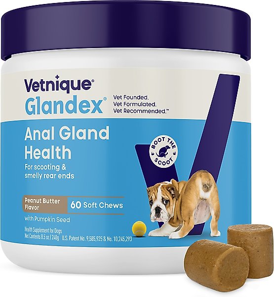 Show full view: Vetnique Labs Glandex Dog Anal Gland Support Soft Chews with Pumpkin, Digestive Enzymes, Probiotics & Fiber Supplement Boot The Scoot Peanut Butter Flavored, 60 count slide 1 of 11