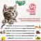 Show in main carousel: Emerald Pet Feline Health Urinary Tract Support Grain-Free Cat Treats, 2.5-oz bag slide 9 of 10
