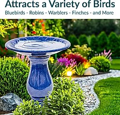 Sunnydaze Decor Daisy Embossed Bowl Bird Bath, Blue slide 2 of 9