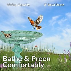 Sunnydaze Decor Backyard Beauty Bird Bath, Green Patina slide 2 of 9