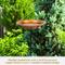 Show in main carousel: Sunnydaze Decor Copper Staked Bird Bath & Feeder slide 4 of 9