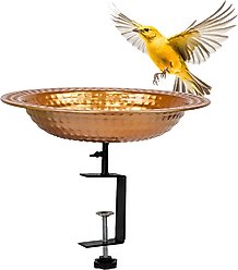 Sunnydaze Decor Copper Deck-Mounted Bird Bath & Feeder