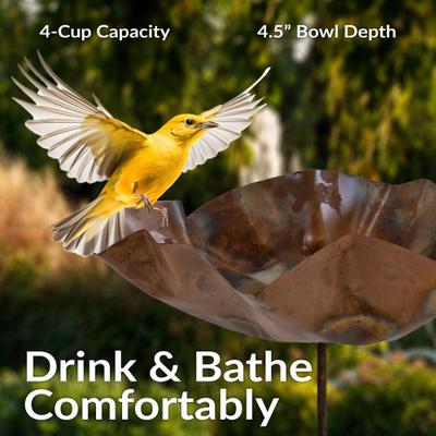 Show full view: Sunnydaze Decor Iron Staked Bird Bath, Copper slide 8 of 9