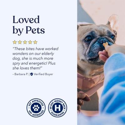Show full view: Honest Paws Full-Spectrum Hemp Oil Bites Mobility Blend Tumeric Flavored Joint Chew Supplement for Dogs, 30 count slide 8 of 10