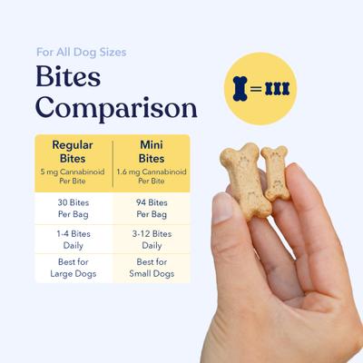 Show full view: Honest Paws Full-Spectrum Hemp Oil Bites Mobility Blend Tumeric Flavored Joint Chew Supplement for Dogs, 30 count slide 5 of 10