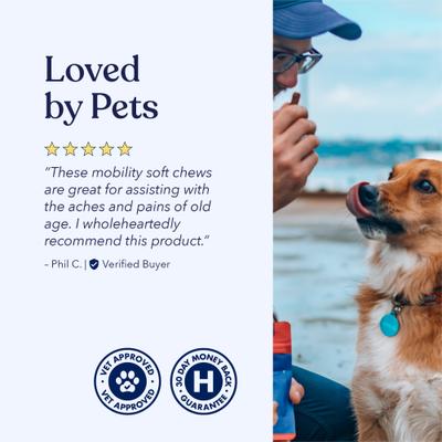 Show full view: Honest Paws Full-Spectrum Hemp Oil Soft Chews Mobility Blend Chicken Flavored Joint Supplement for Dogs, 30 count slide 7 of 9