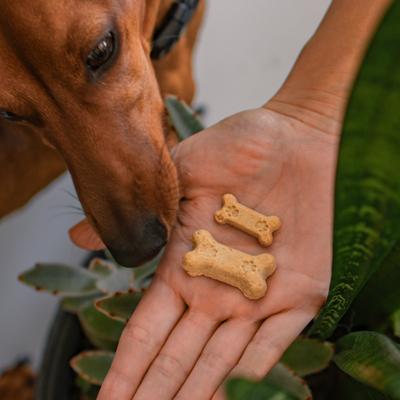 Show full view: Honest Paws Full-Spectrum Hemp Oil Bites Peanut Butter Flavored Calming Chew Supplement for Dogs, 30 count slide 9 of 10