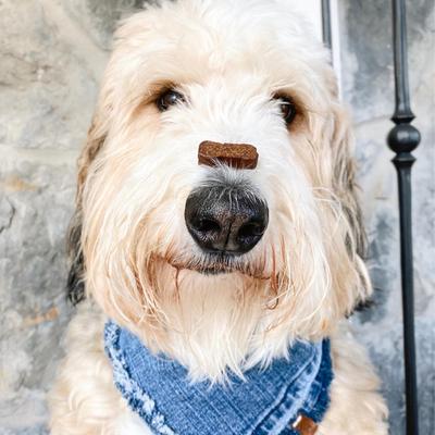 Show full view: Honest Paws Full Spectrum Hemp Oil Soft Chews Chicken Flavored Calming Supplement for Dogs, 30 count slide 8 of 9