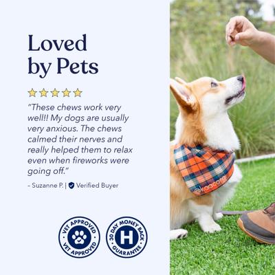 Show full view: Honest Paws Full Spectrum Hemp Oil Soft Chews Chicken Flavored Calming Supplement for Dogs, 30 count slide 7 of 9